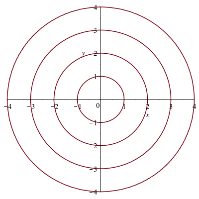 Plot of the concentric circles with gridrefine=2